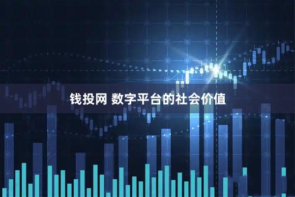 钱投网 数字平台的社会价值