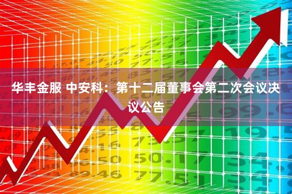 华丰金服 中安科：第十二届董事会第二次会议决议公告