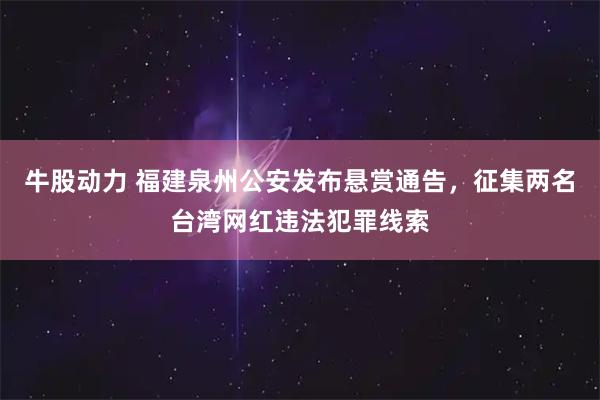 牛股动力 福建泉州公安发布悬赏通告，征集两名台湾网红违法犯罪线索