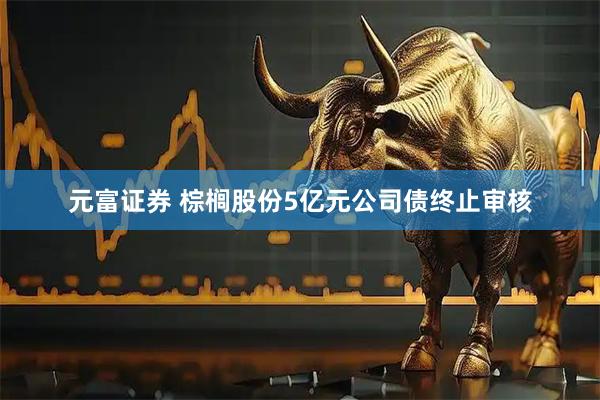 元富证券 棕榈股份5亿元公司债终止审核