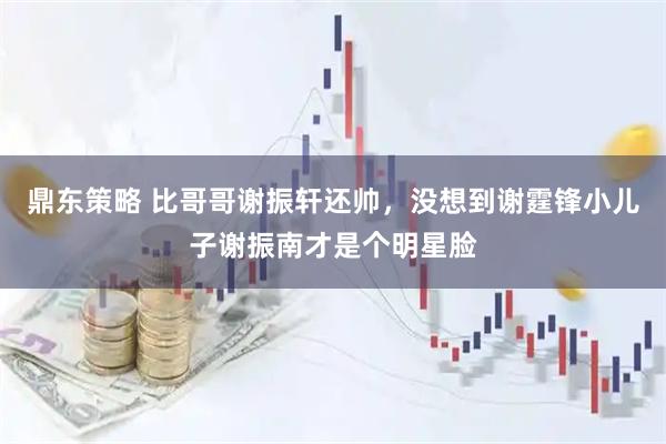 鼎东策略 比哥哥谢振轩还帅，没想到谢霆锋小儿子谢振南才是个明星脸